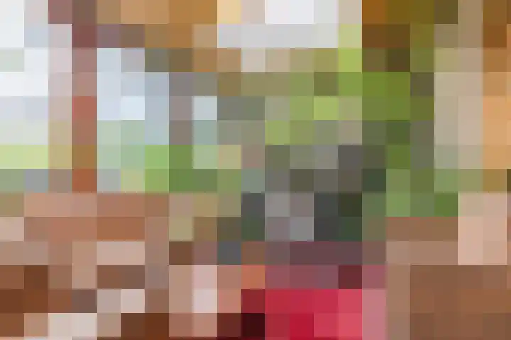 Plataanstraat 10 Echt thumbnail 17
