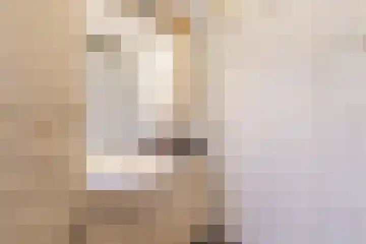 Plataanstraat 10 Echt thumbnail 33