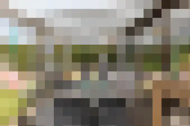 Plataanstraat 10 Echt thumbnail 39