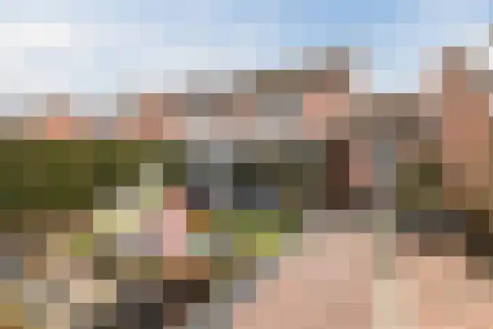 Plataanstraat 10 Echt thumbnail 41