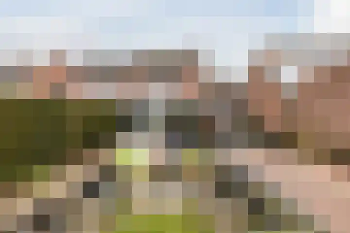 Plataanstraat 10 Echt thumbnail 42
