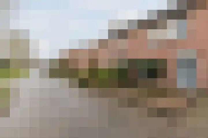 Plataanstraat 10 Echt thumbnail 43