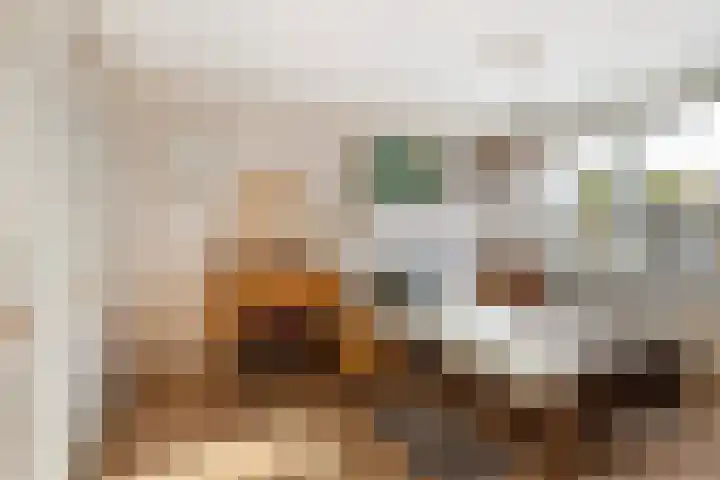 Plataanstraat 31 Numansdorp thumbnail 24