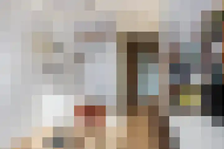 Plataanstraat 31 Numansdorp thumbnail 28