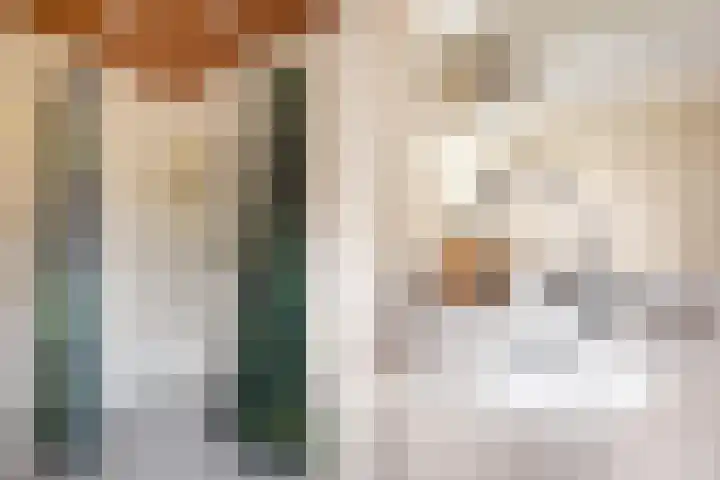 Plataanstraat 31 Numansdorp thumbnail 33