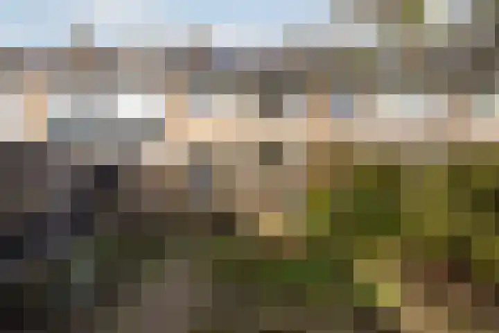 Plataanstraat 31 Numansdorp thumbnail 39