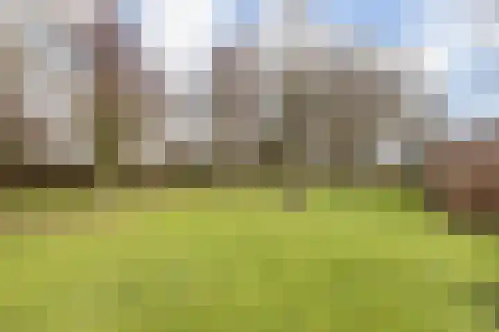 Plataanstraat 31 Numansdorp thumbnail 45
