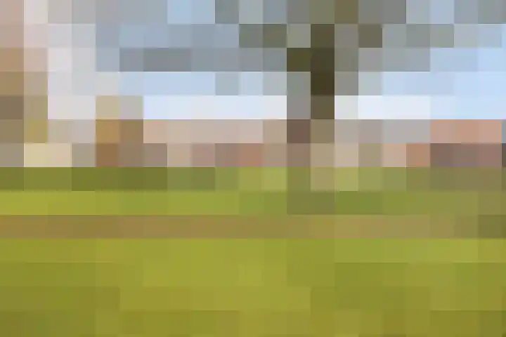 Plataanstraat 31 Numansdorp thumbnail 46
