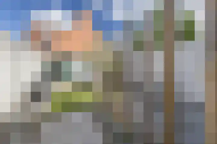 Plataanstraat 68 Breda thumbnail 30