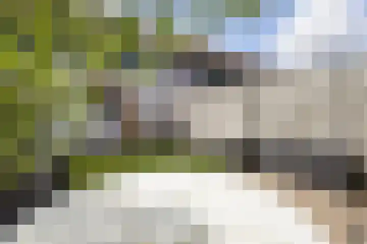 Plataanstraat 68 Breda thumbnail 33