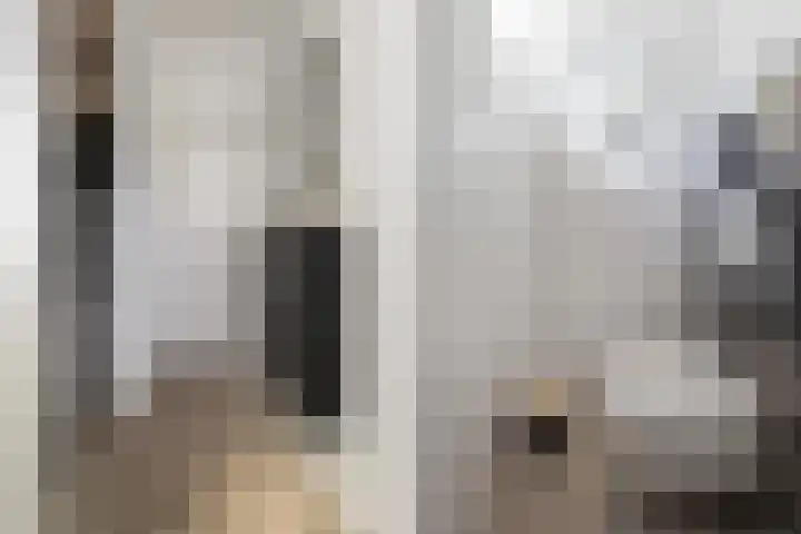 Plataanstraat 68 Breda thumbnail 5