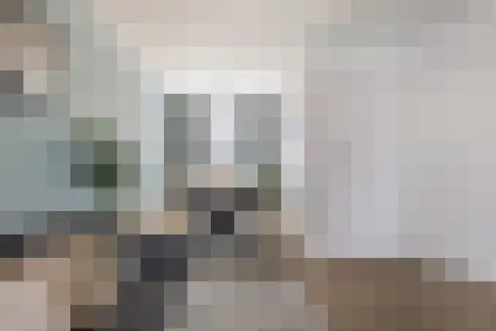 Plataanstraat 68 Breda thumbnail 8