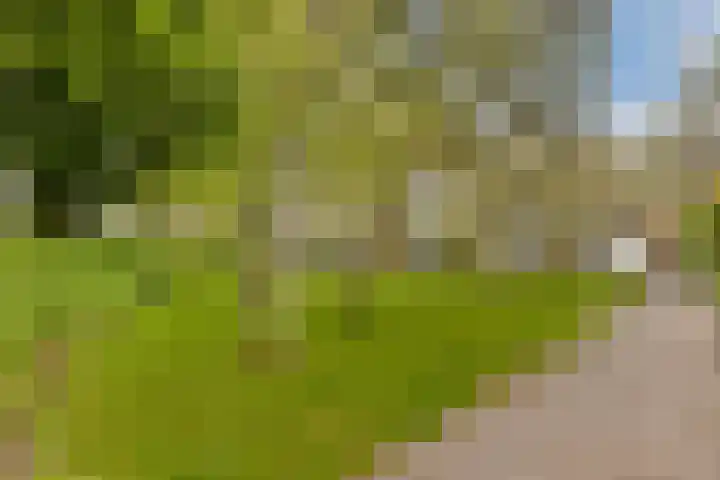 Plataanstraat 9 Gouda thumbnail 33