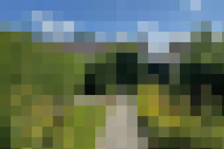 Plataanweg 34 Roden thumbnail 23