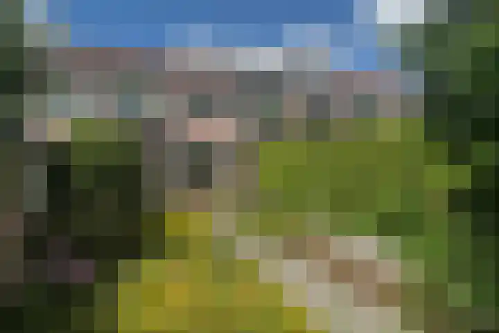 Plataanweg 34 Roden thumbnail 24