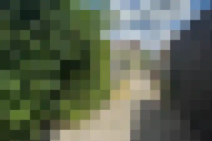 Plataanweg 34 Roden thumbnail 25