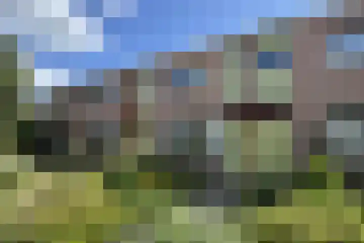 Plataanweg 34 Roden thumbnail 26