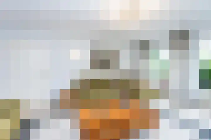 Platanendreef 102 Brunssum thumbnail 11