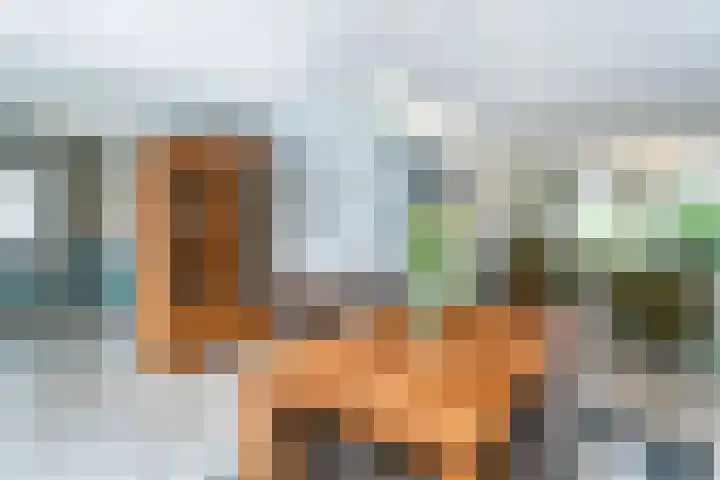 Platanendreef 102 Brunssum thumbnail 15