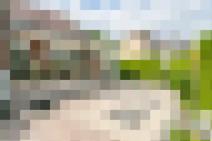 Platanendreef 102 Brunssum thumbnail 46
