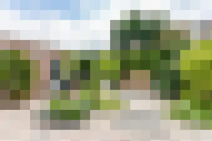 Platanendreef 102 Brunssum thumbnail 53