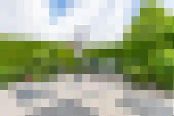 Platanendreef 102 Brunssum thumbnail 54