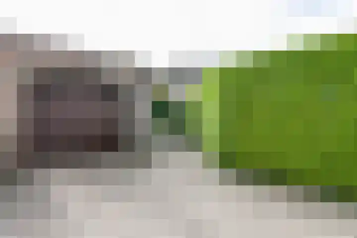 Platanendreef 102 Brunssum thumbnail 56