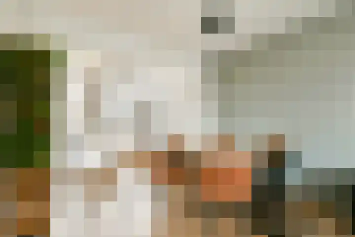 Platanendreef 12 Bleiswijk thumbnail 12