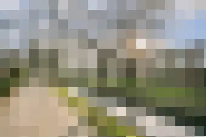 Platanendreef 12 Bleiswijk thumbnail 27