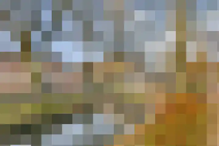 Platanendreef 12 Bleiswijk thumbnail 28