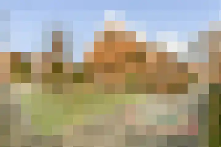 Platanendreef 12 Bleiswijk thumbnail 29