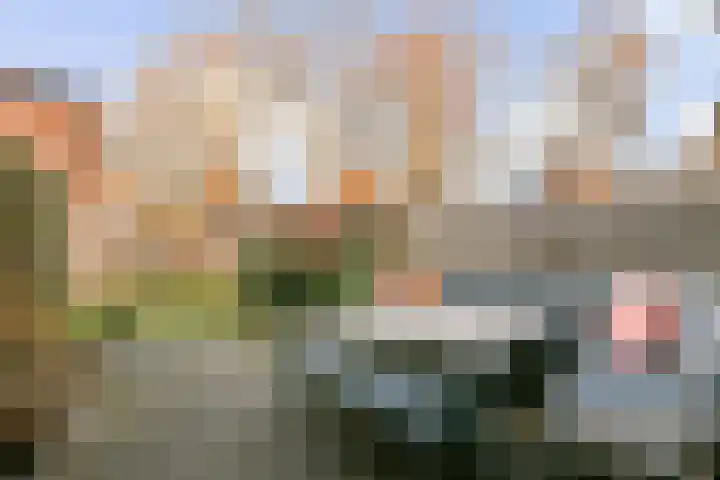 Platanendreef 12 Bleiswijk thumbnail 4