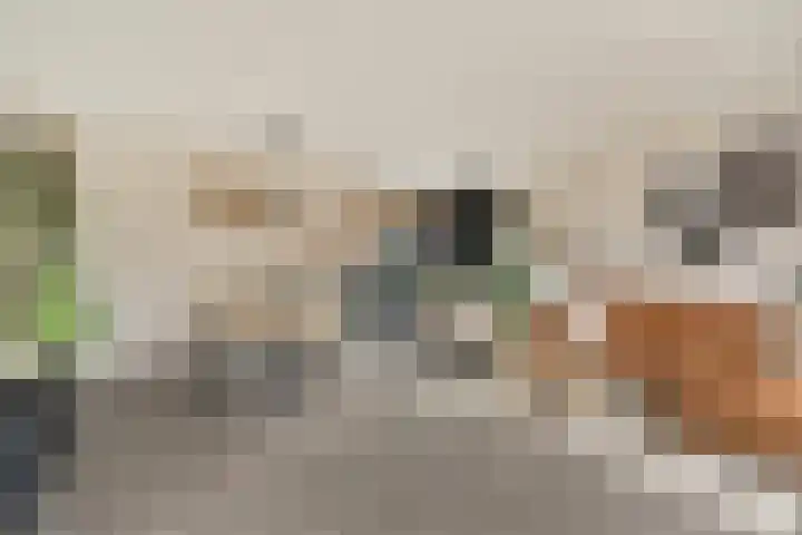 Platanendreef 2 Vlaardingen thumbnail 11