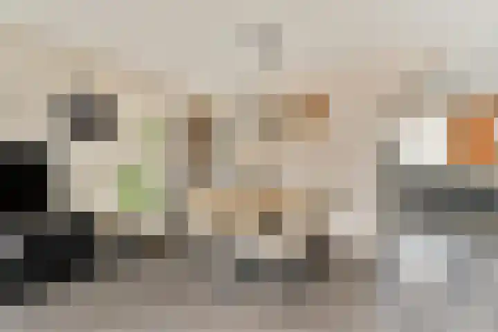 Platanendreef 2 Vlaardingen thumbnail 12