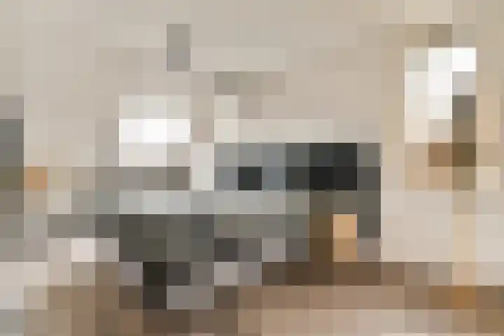 Platanendreef 2 Vlaardingen thumbnail 23