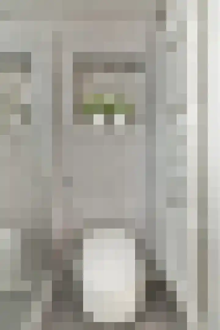 Platanendreef 2 Vlaardingen thumbnail 31