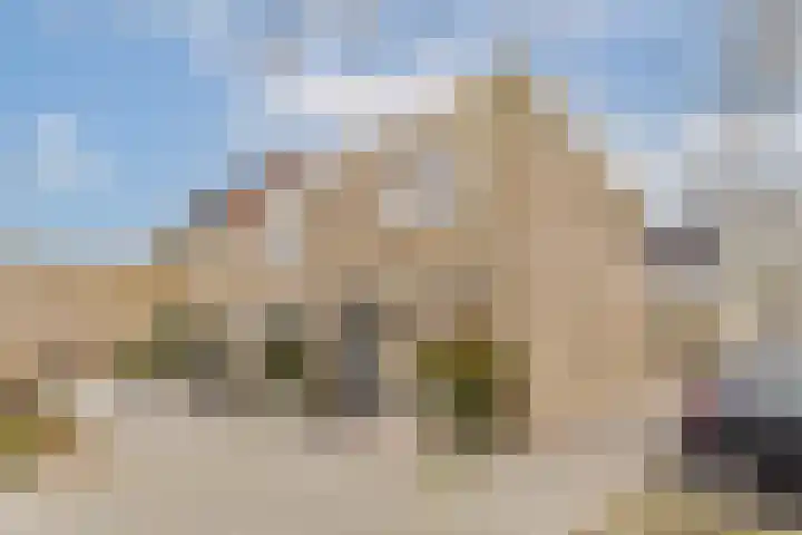 Platanendreef 2 Vlaardingen thumbnail 32