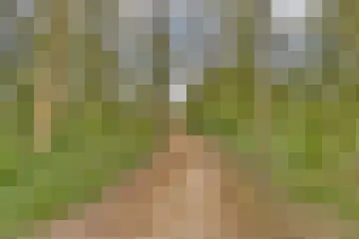 Platanendreef 2 Vlaardingen thumbnail 34