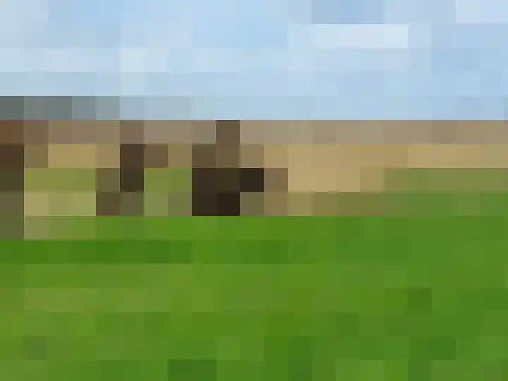 Platanendreef 2 Vlaardingen thumbnail 35