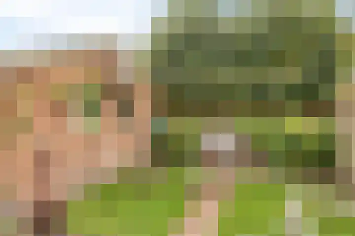 Platanendreef 2 Vlaardingen thumbnail 7