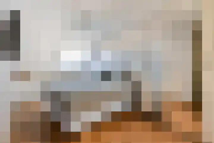 Platanendreef 6 Vlaardingen thumbnail 12