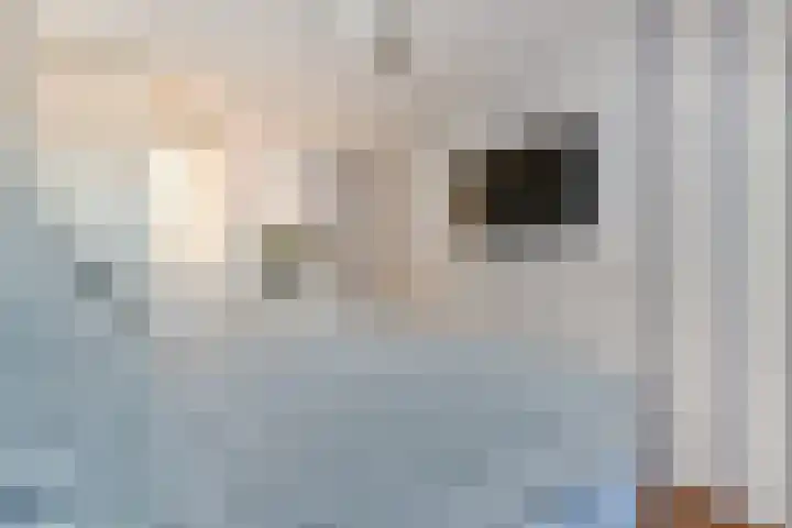 Platanendreef 6 Vlaardingen thumbnail 13