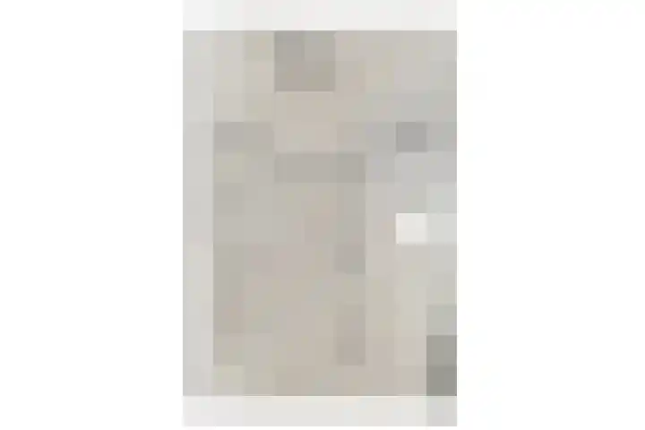 Platanendreef 6 Vlaardingen thumbnail 15