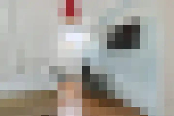 Platanendreef 6 Vlaardingen thumbnail 18