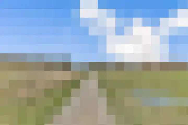 Platanendreef 6 Vlaardingen thumbnail 21