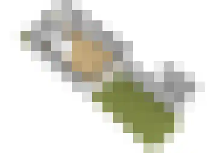 Platanendreef 6 Vlaardingen thumbnail 26