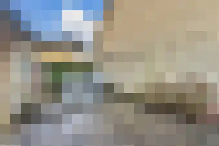 Platanendreef 6 Vlaardingen thumbnail 9