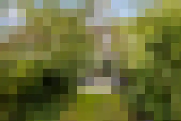 Platanenlaan 32 Leusden thumbnail 23