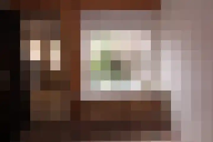 Platanenlaan 6 Zwanenburg thumbnail 11