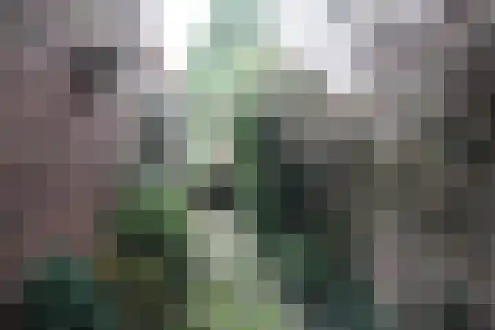 Platanenlaan 6 Zwanenburg thumbnail 18